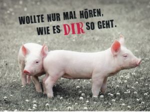 Wollte Nur Mal Schauen WieS Dir Geht Wollte Nur Mal Schauen WieS Dir Geht