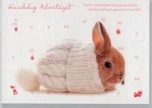 hasen adventskalender hasen adventskalender