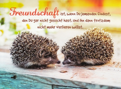 GOLDBEK Freundschaft ist... / zwei Igel Lichtblicke Postkarte