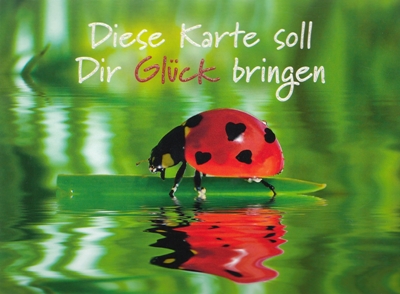 Bringen Marienkäfer Glück Bringen Marienkäfer Glück