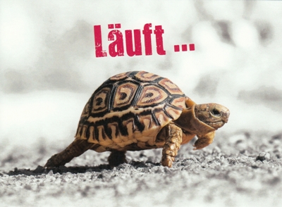 GOLDBEK Läuft... / Schildkröte Hangover Postkarte