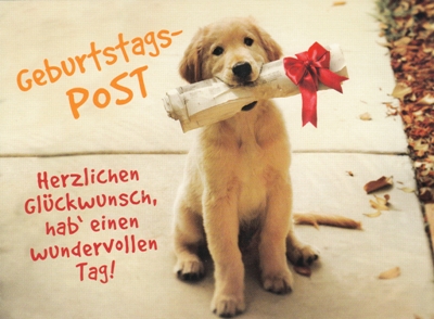 Glckwnsche Zum Geburtstaghund Geburtstagsglckwnsche Glckwnsche Zum Geburtstaghund Geburtstagsglckwnsche