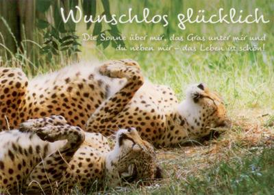 GWBI Wunschlos glücklich Leoparden Classic Line Postkarte